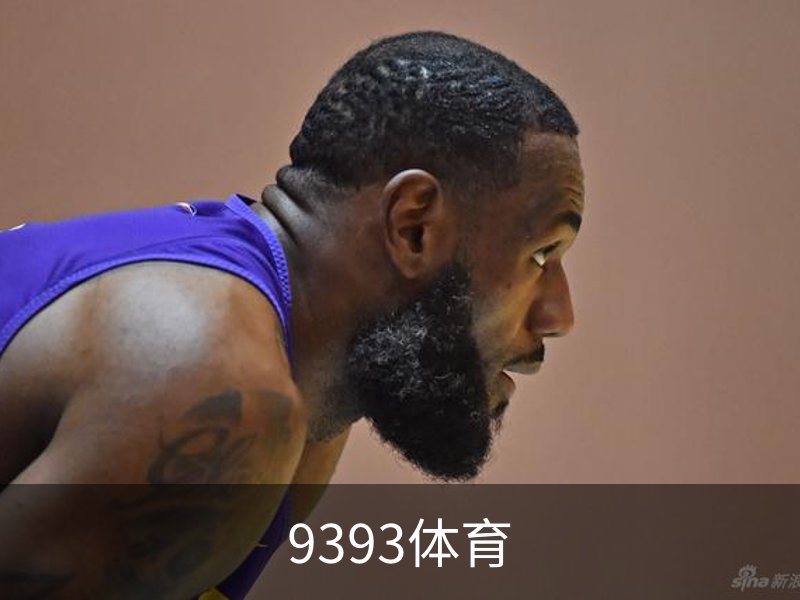 9393体育介绍
